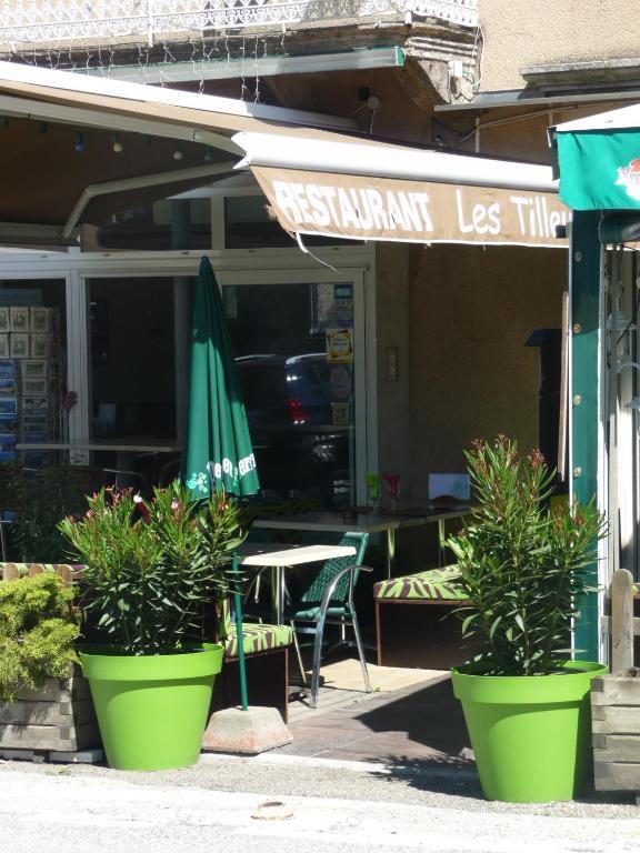 Hotel Les Tilleuls De Pareloup A Salles-Curan Εξωτερικό φωτογραφία
