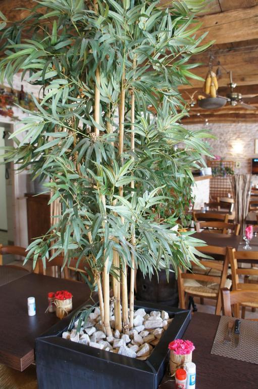 Hotel Les Tilleuls De Pareloup A Salles-Curan Εξωτερικό φωτογραφία